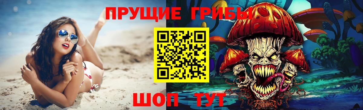 где можно купить   Псилоцибиновые грибы MAGIC MUSHROOMS  Вход с VPN  Россошь 